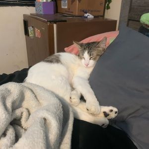 Meet your Posher, Jamie